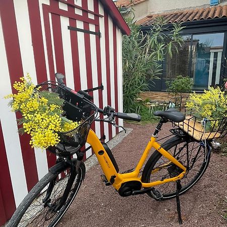 Les Mimosas Villa Saint-Trojan-les-Bains Exteriör bild