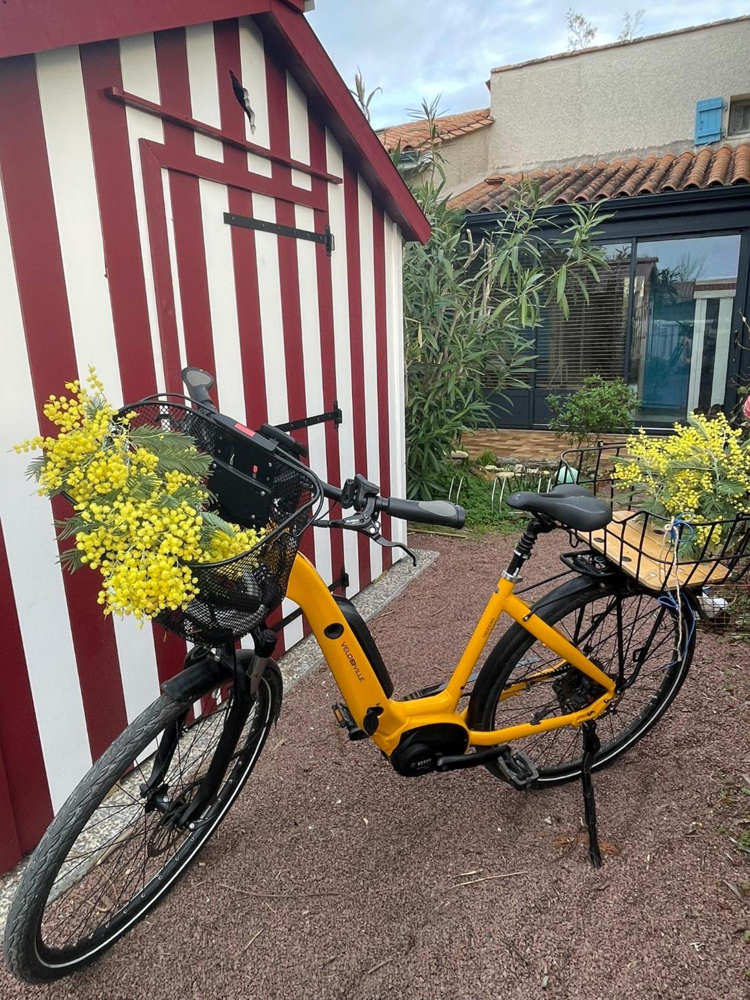 Les Mimosas Villa Saint-Trojan-les-Bains Exteriör bild